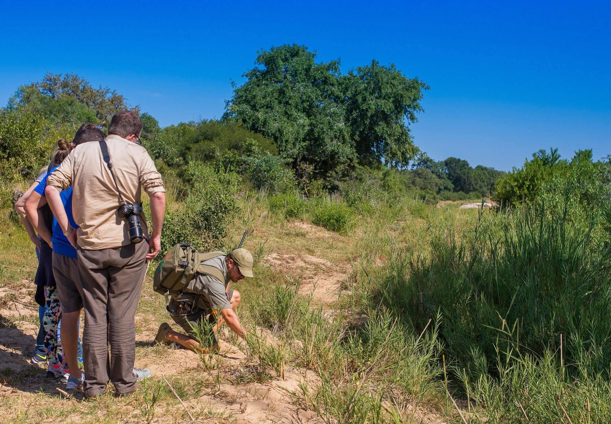 Inyati Game Lodge Metsi Ngoại thất bức ảnh