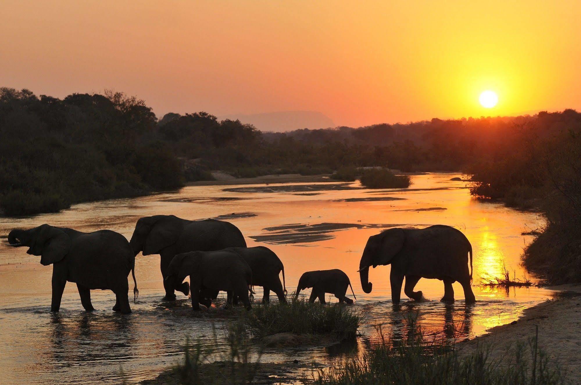 Inyati Game Lodge Metsi Ngoại thất bức ảnh